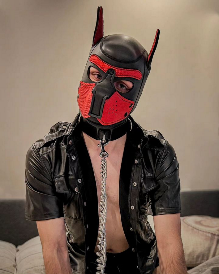 masked.gay.pup